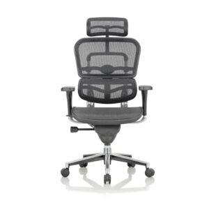 Executive-Mesh-Chair-02_02