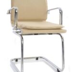 Sleek Cushion Visitor